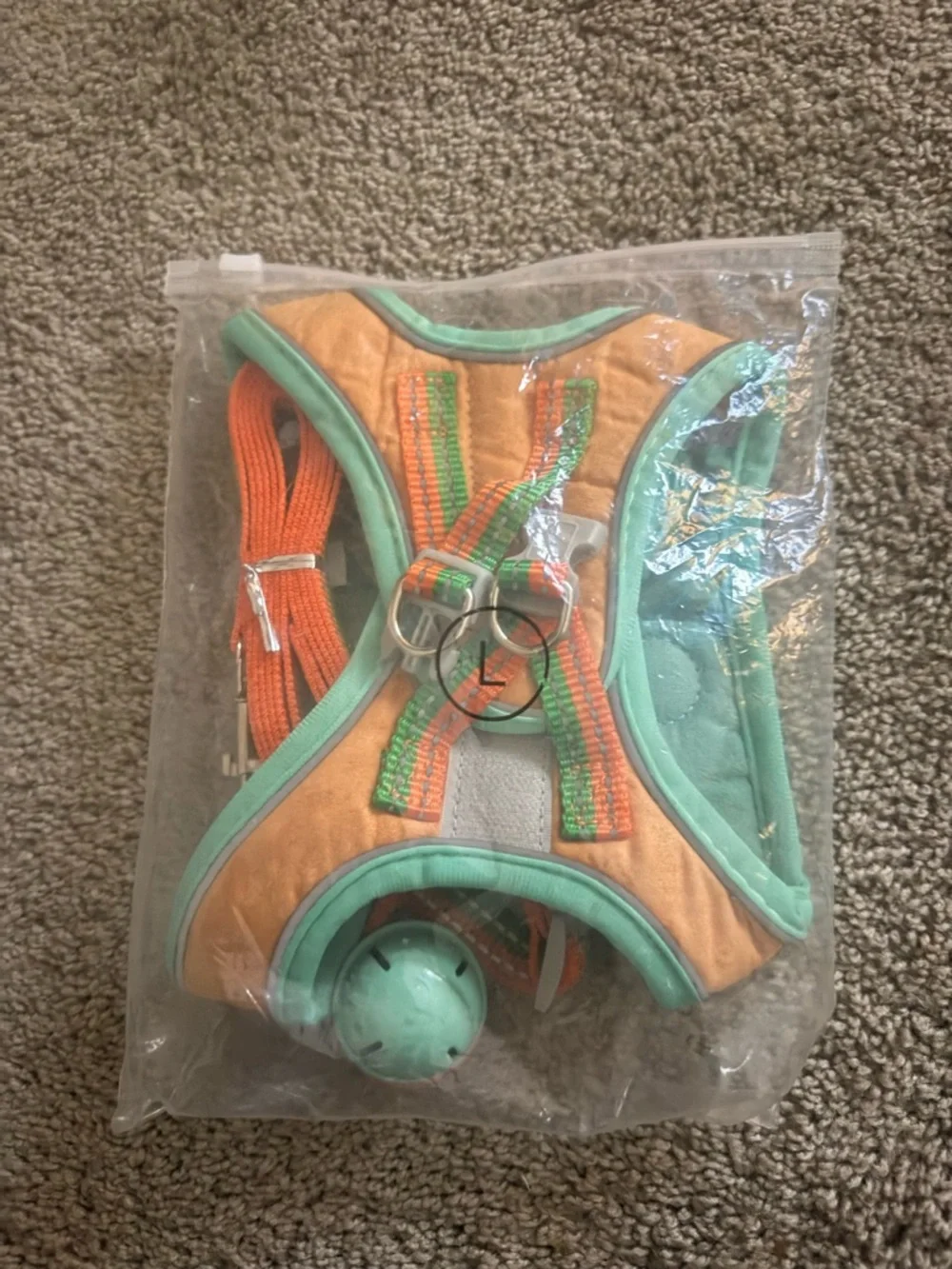 Teal and Orange Dog & Cat Harness with Matching Leash